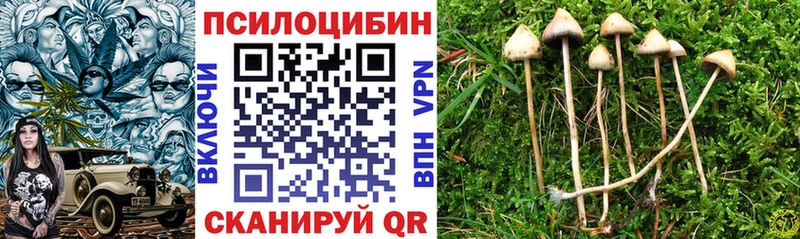Галлюциногенные грибы MAGIC MUSHROOMS  MEGA зеркало  Березники 